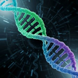 پیشگیری از تخریب مفاصل؛ ترکیب سبک زندگی، تغذیه، فاکتورهای ژنتیکی و ابزارهای ارتوپدی پیشگیری از تخریب مفاصل؛ ترکیب سبک زندگی، تغذیه، فاکتورهای ژنتیکی و ابزارهای ارتوپدی